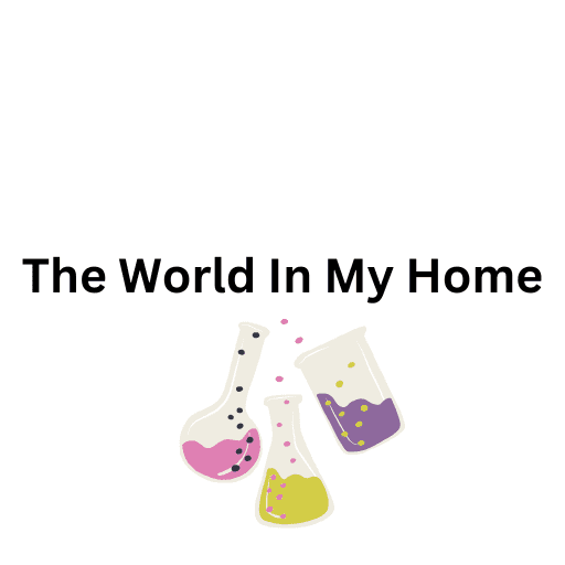 The World In My Home